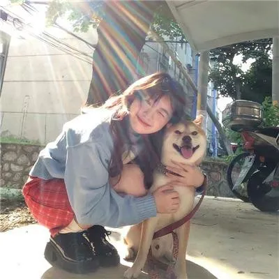 【烧脑神作】《圈套 / Trap》李瑞镇成东日：知名主播一家在深山遭遇恐怖狩猎，反转惊人